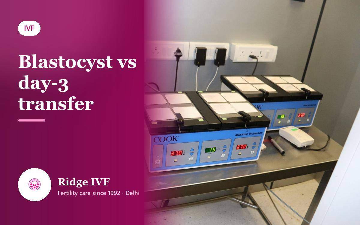 Blastocyst Transfer vs Day 3 Transfer: Which Is Right for You?