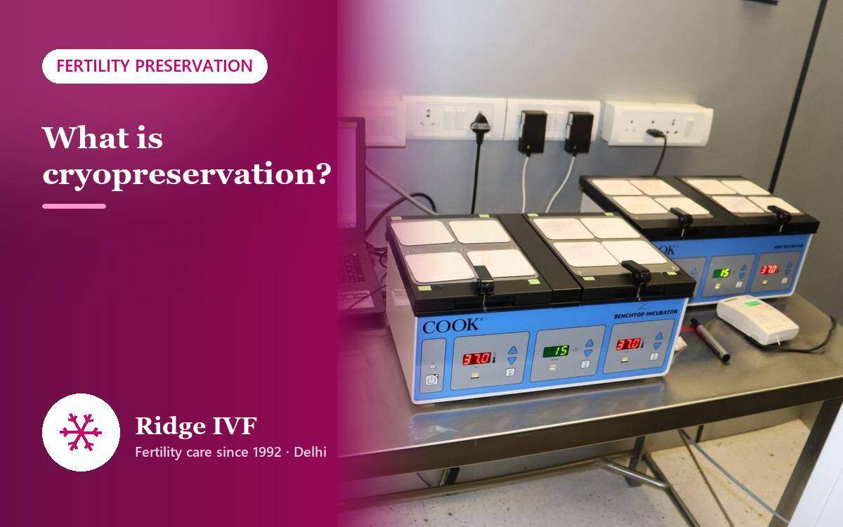 What is Cryopreservation (Freezing)?