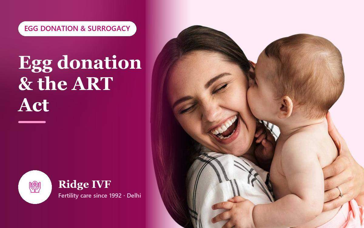 Egg Donation in Delhi: ART Act Rules, Process and What to Expect