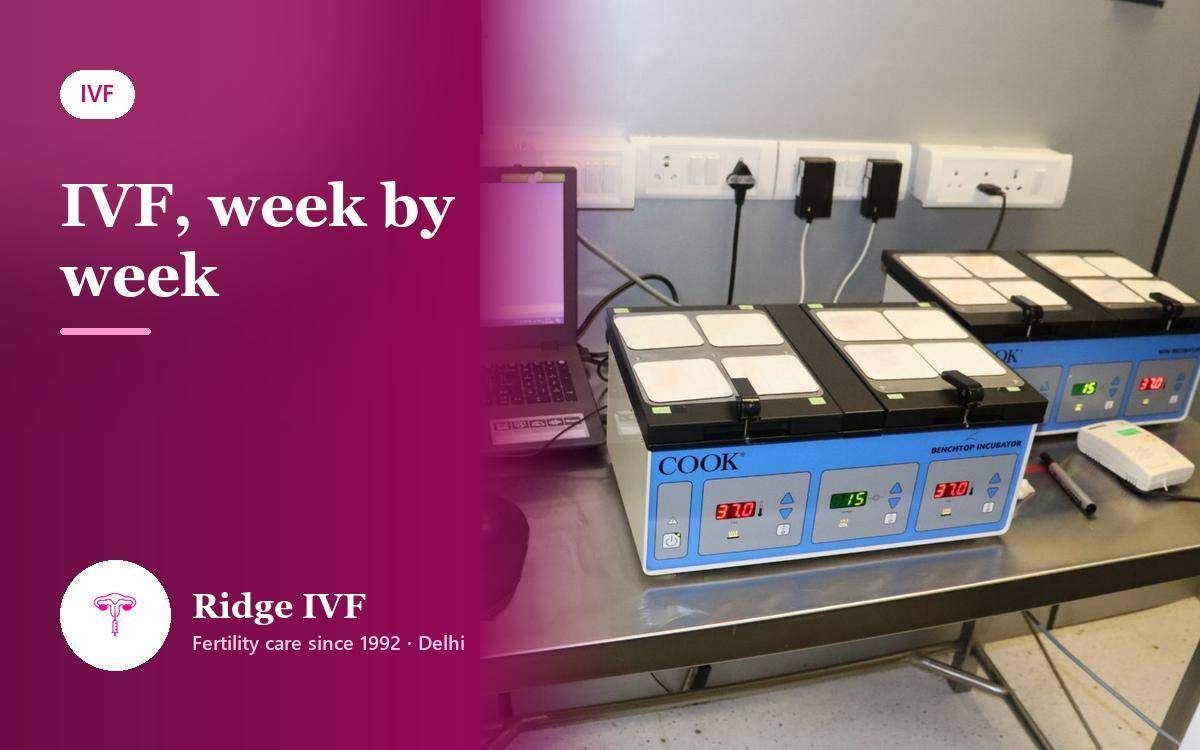 IVF Fertility Treatment Step by Step: A Week-by-Week Timeline