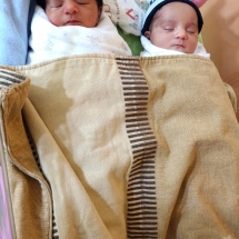 IUI twins babies